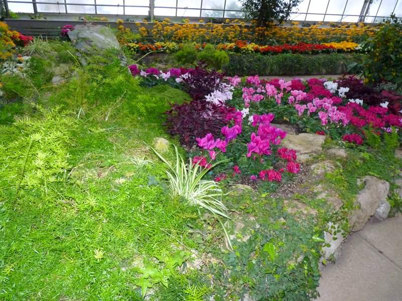 Show house, Centennial Park Conservatory