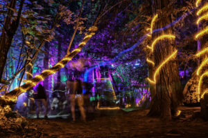 Shambhala Music Festival Announces 2026 Lineup