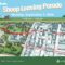 sheep-leaving-parade-route-page-001