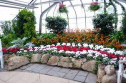 Show house, Centennial Park Conservatory