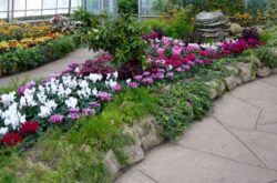 Show house, Centennial Park Conservatory