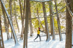 20 Fun Outdoor Winter Activities in Grey County