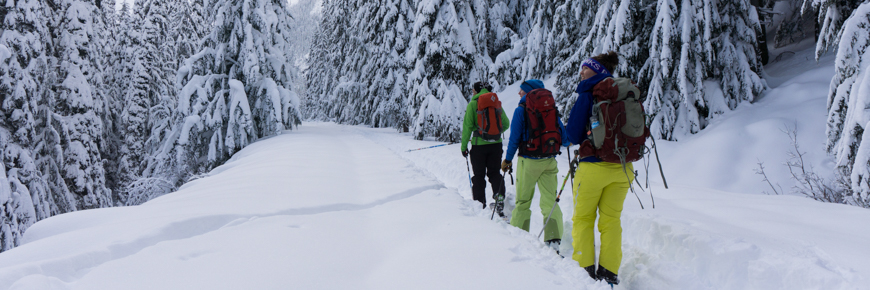 Winter Activities in Revelstoke