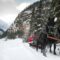 Sleigh Rides in Banff National Park