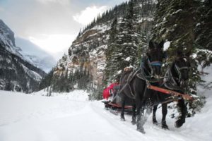 Sleigh Rides in Banff National Park