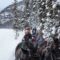 Banff - Lake Louise Trip in Winter