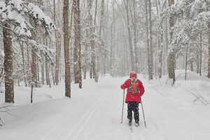 Family Cross-Country Ski & Snowshoe Day