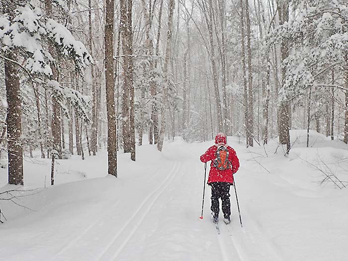 Family Cross-Country Ski & Snowshoe Day