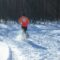 snowshoe