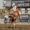 stampede