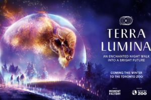 Terra Lumina