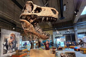 Saskatchewan's T.Rex Discovery Centre Reopens With New Dinosaur Exhibits For 2026 Season