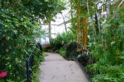 Tropical House, Centennial Park Conservatory