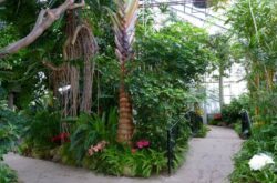 Tropical House, Centennial Park Conservatory