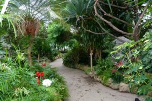 Tropical House, Centennial Park Conservatory