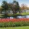 tulip-festival