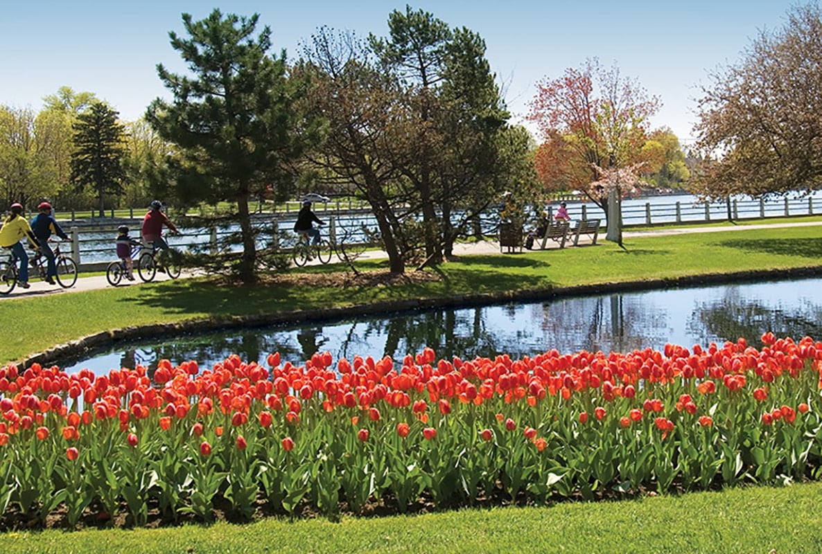 Ottawa Tulip Festival 2024 Gisela Ruthann