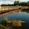 25 of the Best Hiking Trails in Hamilton