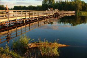 25 of the Best Hiking Trails in Hamilton