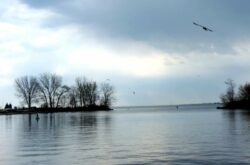 View from Boat Launch, Ashbridges Bay Park, Toronto