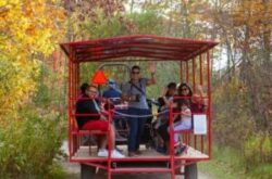 Fall Forest Wagon Ride