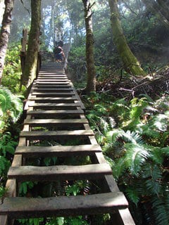wct_ladder