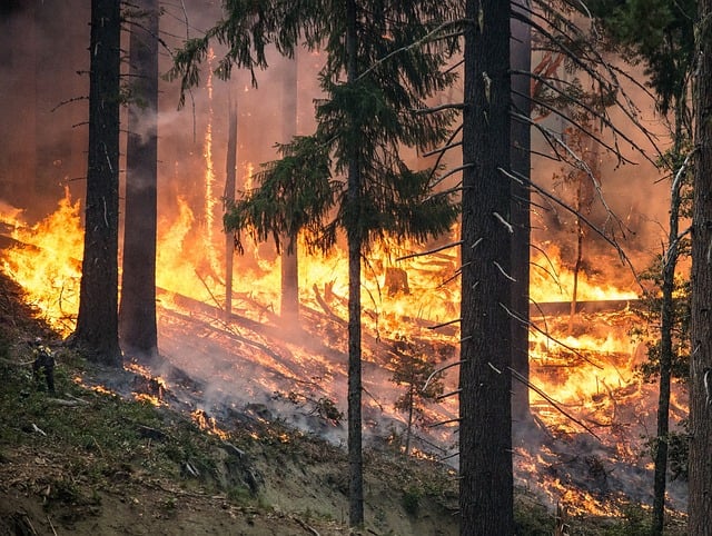 These are Canada's Top 10 Weather Stories of 2018