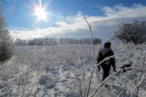 13 Provincial Parks to Visit During Winter in Manitoba
