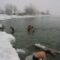 Where to Go for Winter Swimming in Lake Ontario, Toronto
