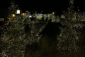 Winter Wonderland Newmarket
