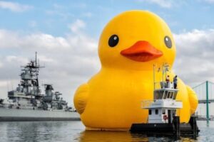 Toronto Waterfront Festival Cancels 2026 Season, Eyes Giant Comeback