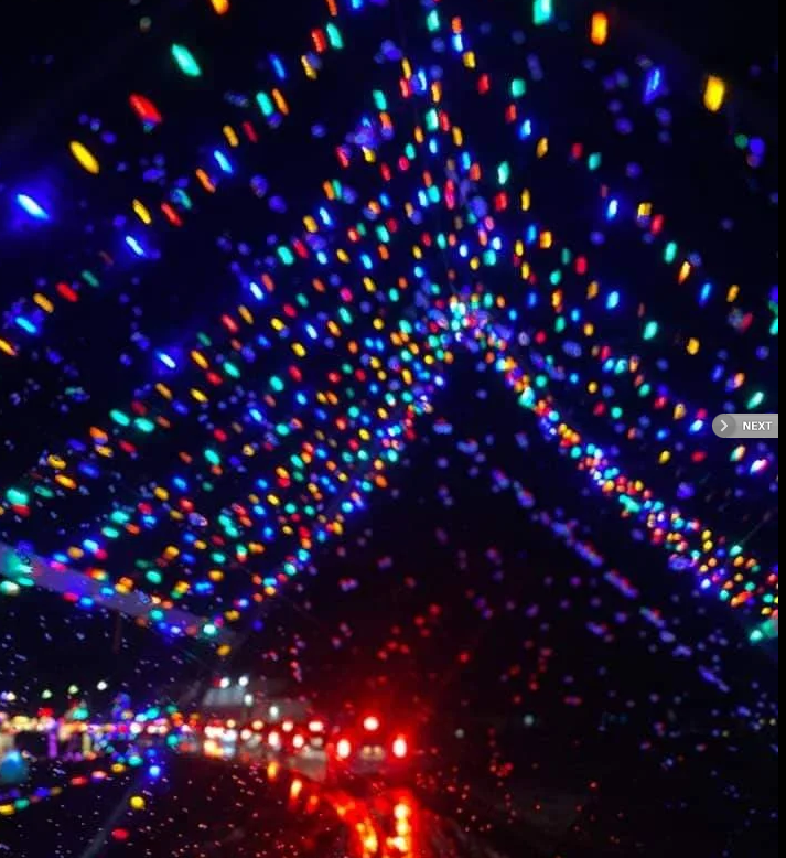 Magic Of Lights Explore Edmonton Explore Edmonton